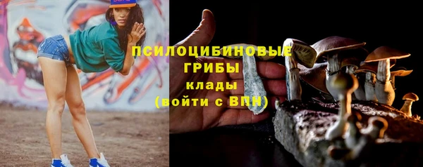 дмт Беломорск