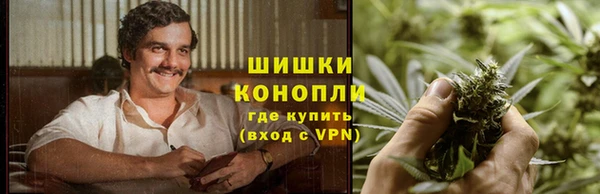 винт Белокуриха