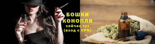 винт Белокуриха